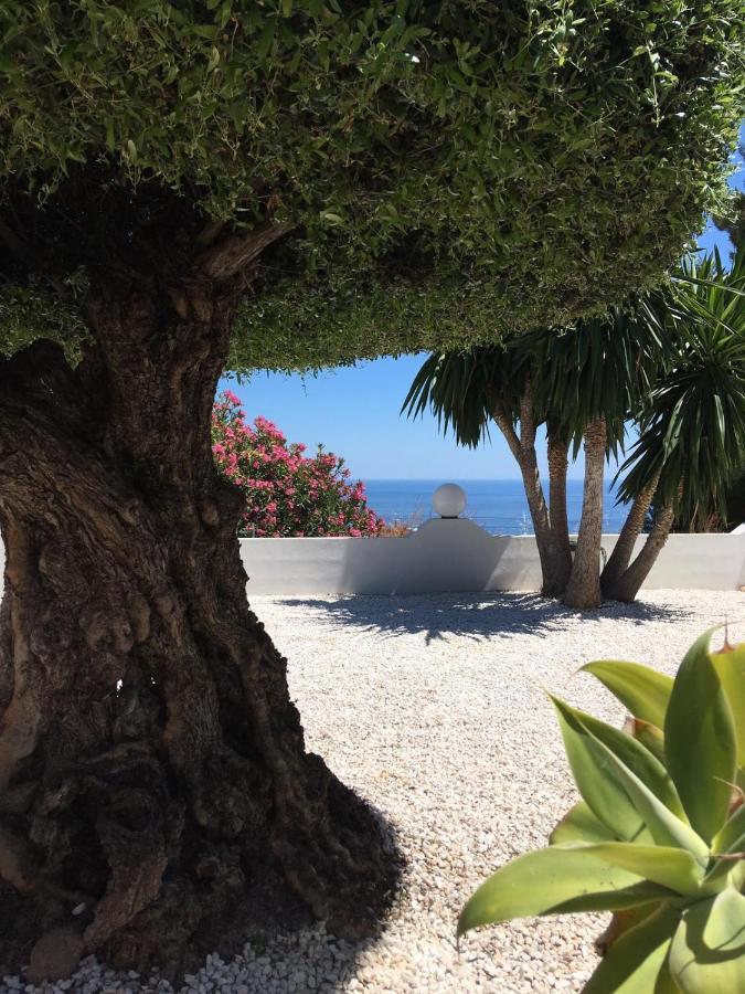Casa Capricornio Bed and Breakfast Marbella Exteriör bild
