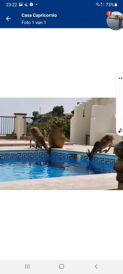 Casa Capricornio Bed and Breakfast Marbella Exteriör bild
